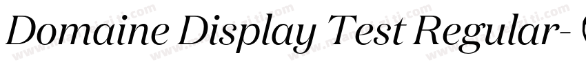 Domaine Display Test Regular字体转换